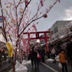 秋田の冬まつり